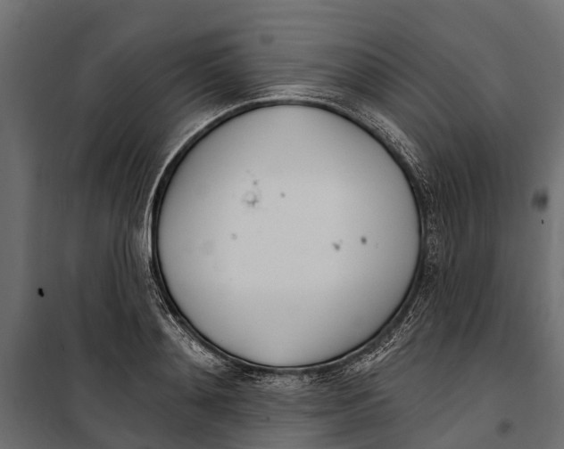 X0000099970892200806201359