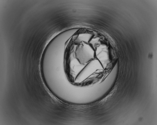 X0000099970893200806201359