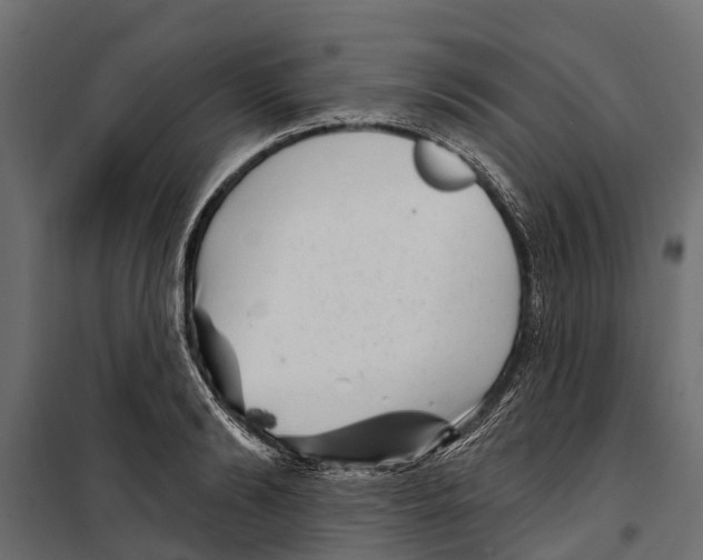 X0000099970894200806201359