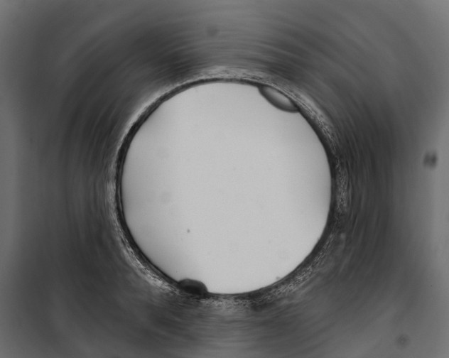 X0000099970896200806201359