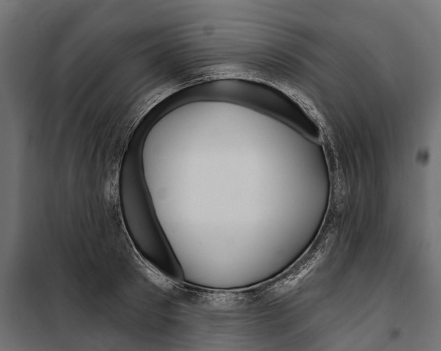 X0000099970897200806201359