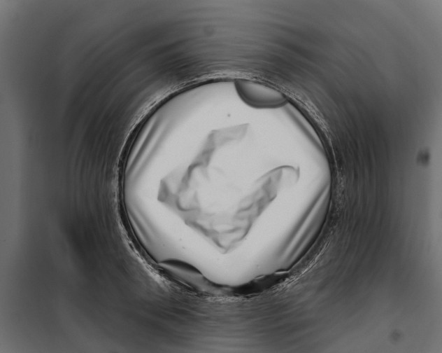 X0000099970898200806201359