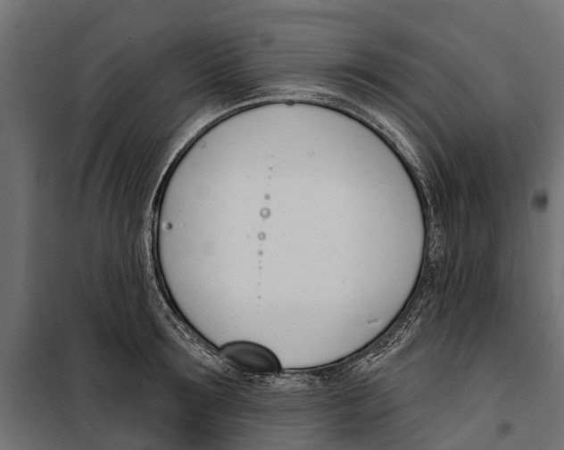 X0000099970899200806201359