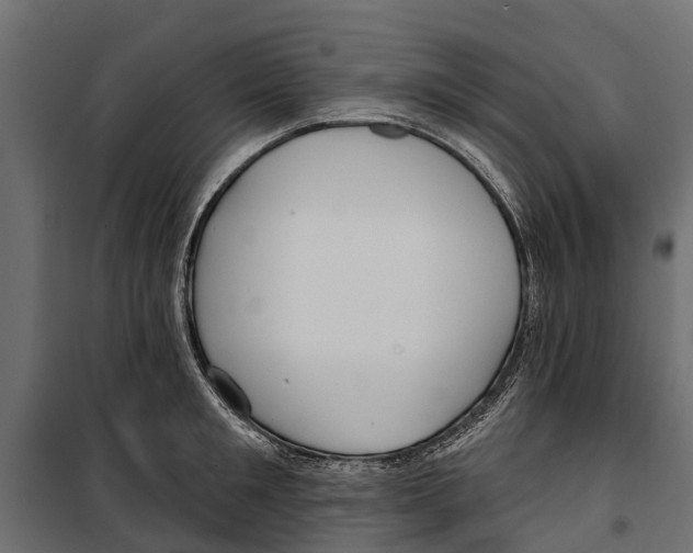 X0000099970901200806201359