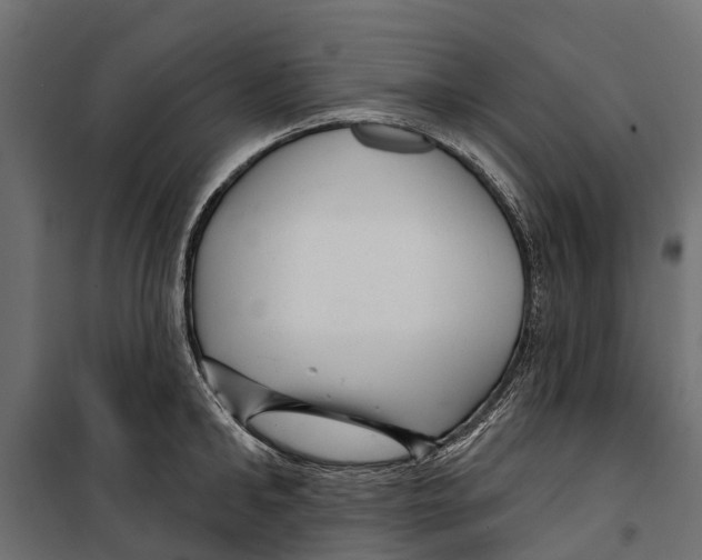 X0000099970902200806201359