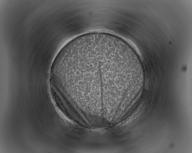 X0000099970903200806201359