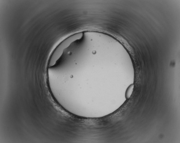 X0000099970904200806201359