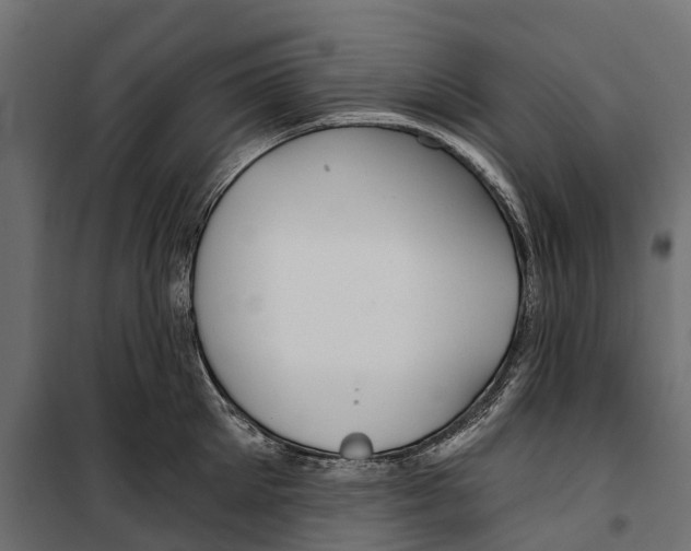 X0000099970905200806201359