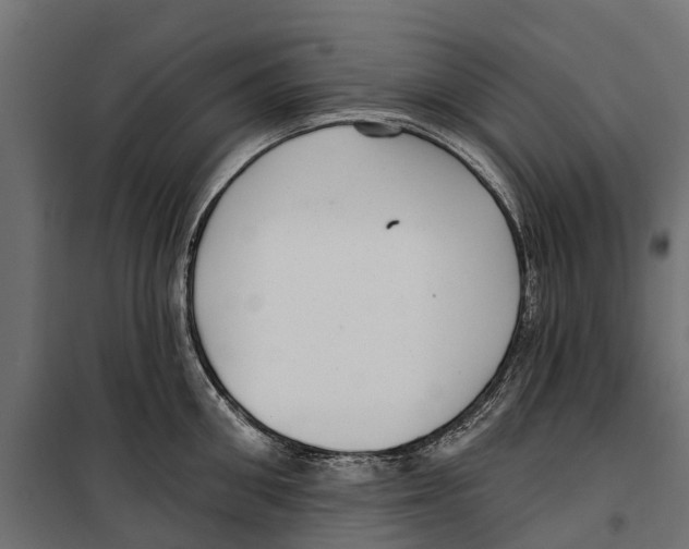 X0000099970906200806201359