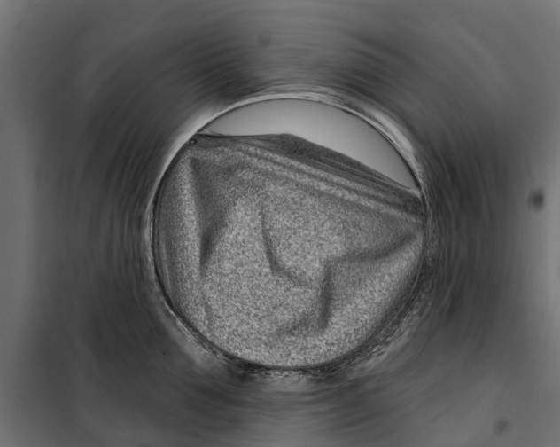 X0000099970907200806201359