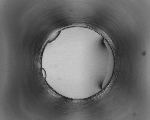 X0000099970908200806201359