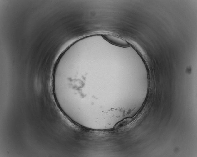 X0000099970910200806201359