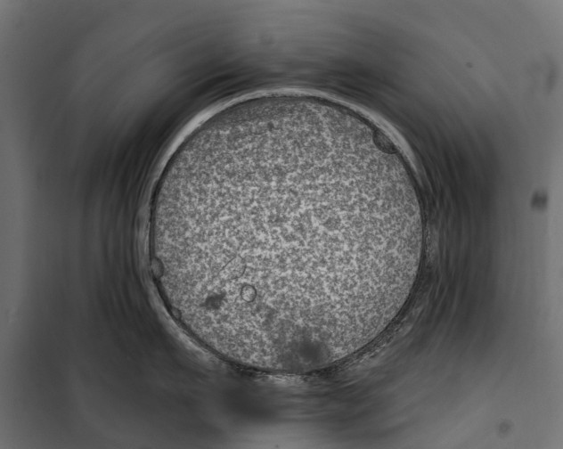 X0000099970911200806201359