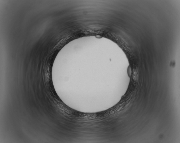 X0000099970915200806201358