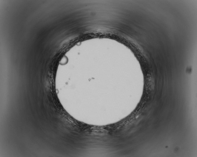 X0000099970918200806201358