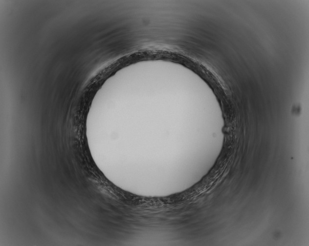 X0000099970919200806201358