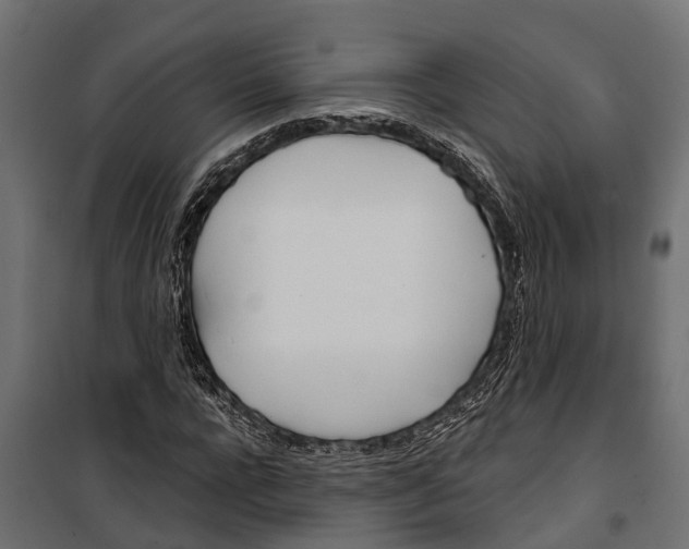 X0000099970920200806201358