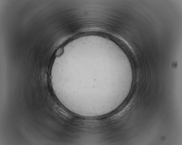 X0000099970921200806201358