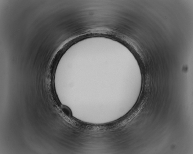 X0000099970923200806201358