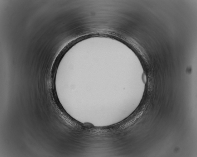 X0000099970924200806201358