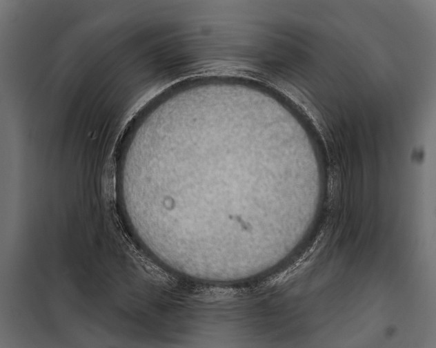 X0000099970925200806201358