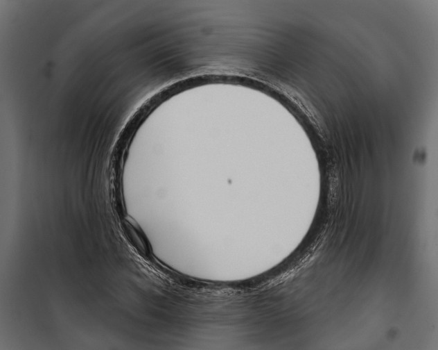 X0000099970926200806201358