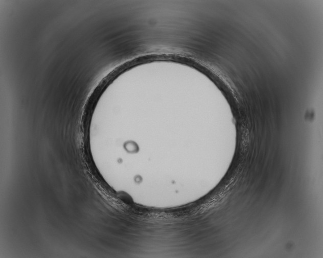 X0000099970927200806201358