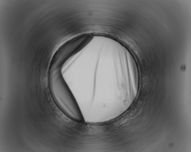 X0000099970928200806201358