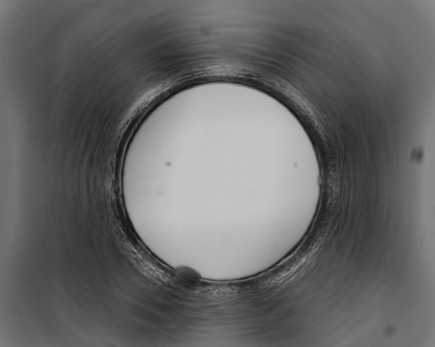 X0000099970930200806201358