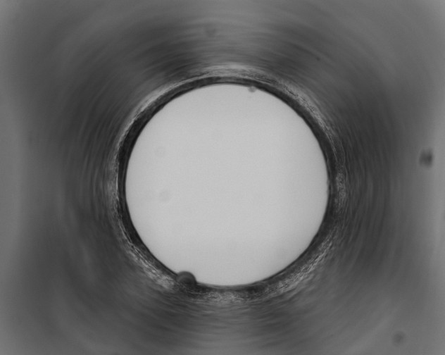 X0000099970931200806201358