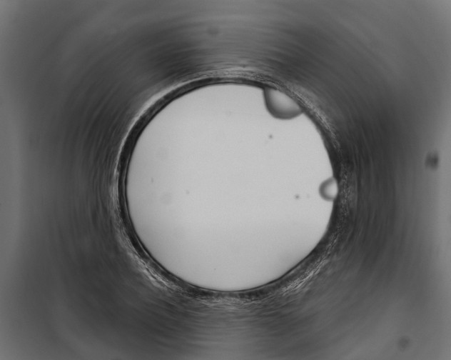 X0000099970932200806201358