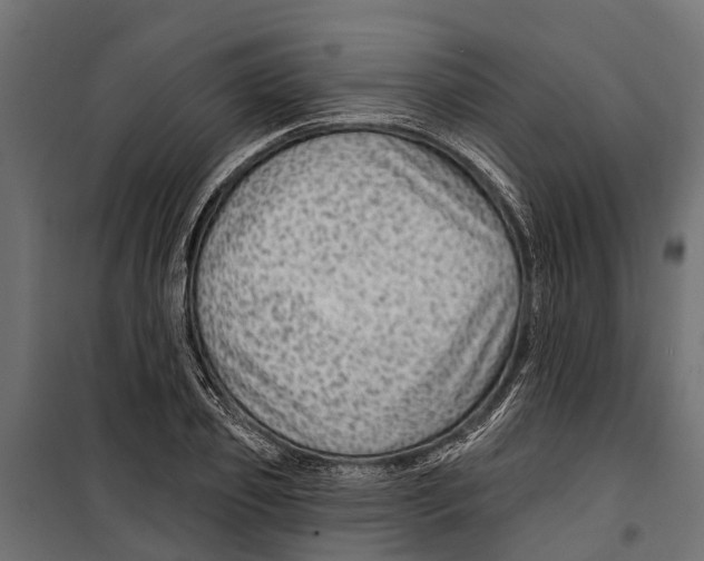 X0000099970933200806201358