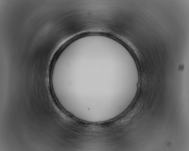 X0000099970935200806201358