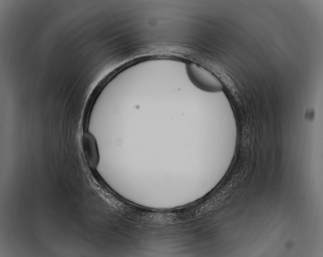 X0000099970936200806201358