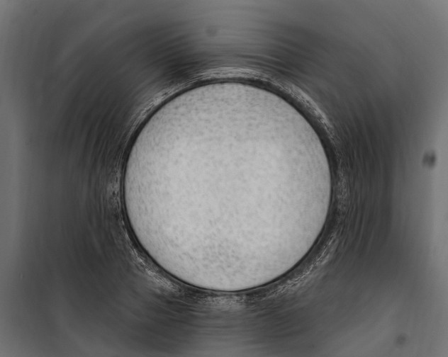 X0000099970937200806201358