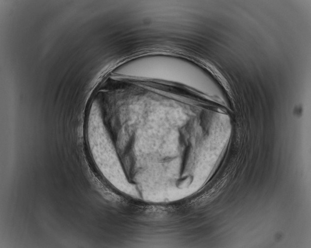 X0000099970938200806201358