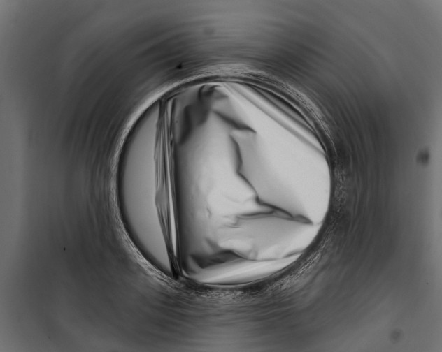 X0000099970939200806201358