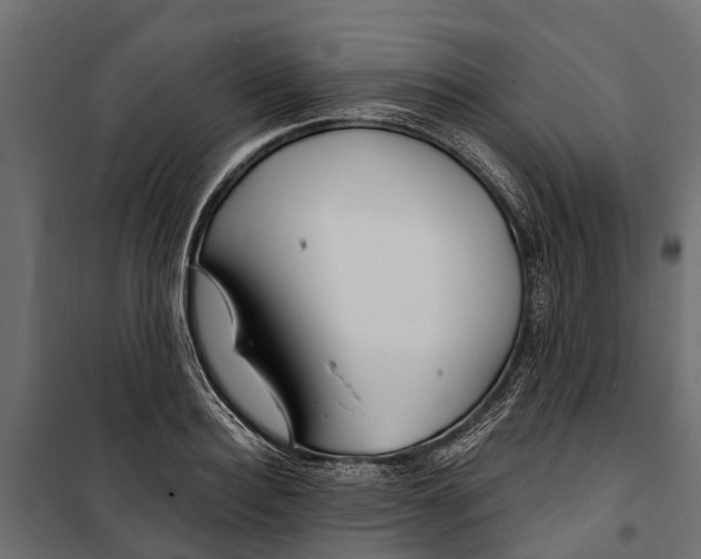 X0000099970940200806201358