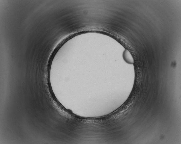 X0000099970942200806201358