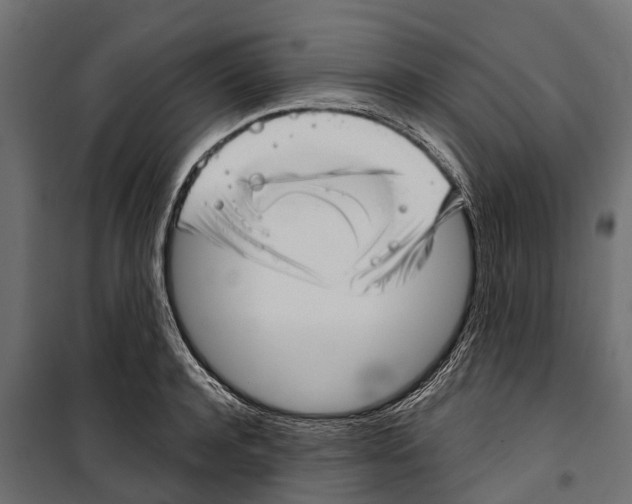 X0000099970944200806201358