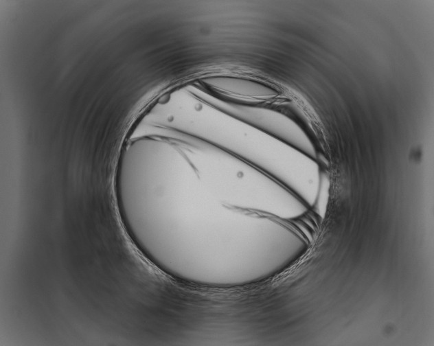 X0000099970946200806201358