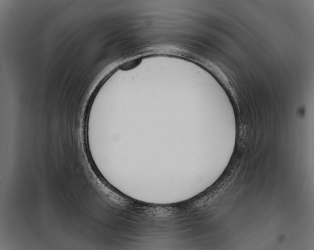 X0000099970947200806201358