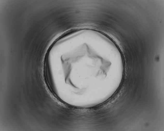 X0000099970949200806201358