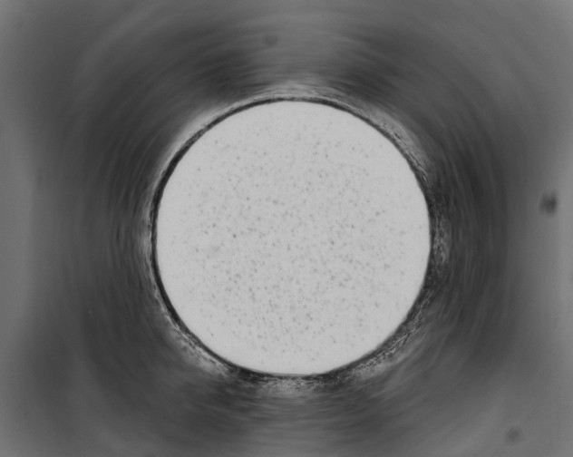 X0000099970950200806201358