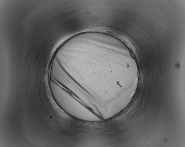 X0000099970952200806201358