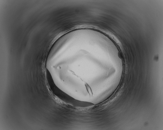 X0000099970953200806201358