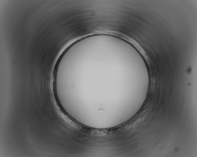 X0000099970955200806201358