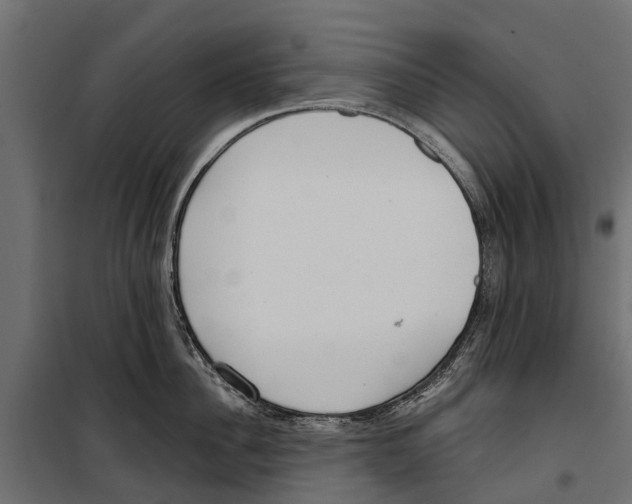 X0000099970956200806201359