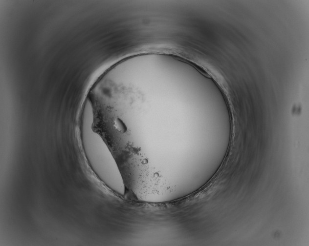 X0000099970960200806201359