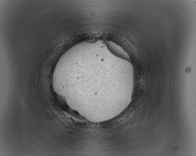 X0000099970961200806201358